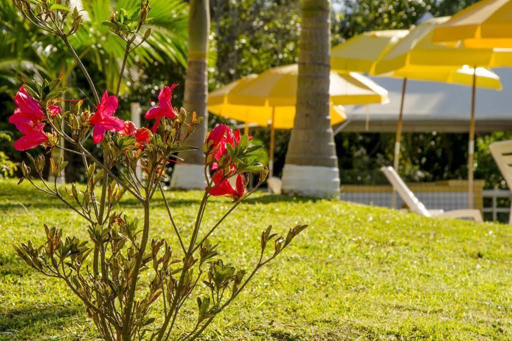 Morro Do Sol & Eventos 4* Porto Belo